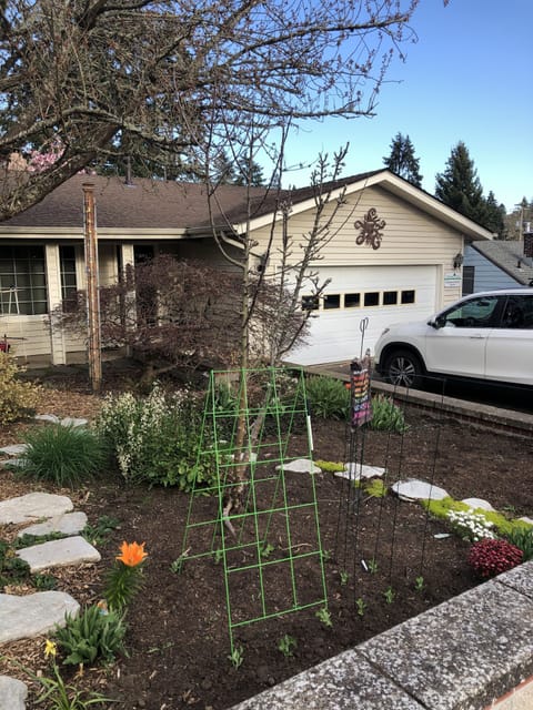 Front of house with spring garden
