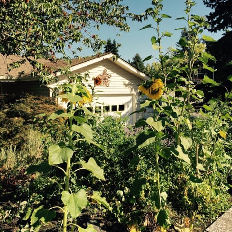Front of house with summer garden
