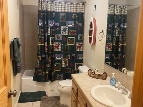 Combined shower/tub, towels