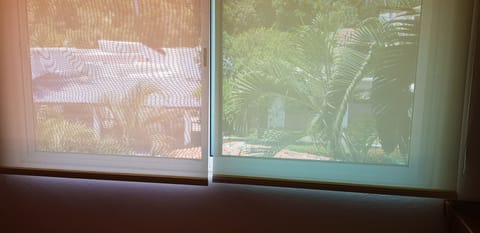 bed room window shades