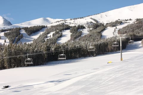 Snow and ski sports