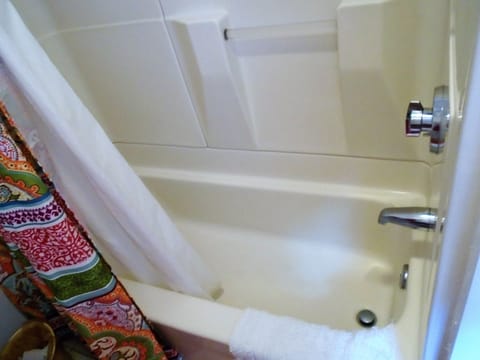 Combined shower/tub, hair dryer, towels, shampoo