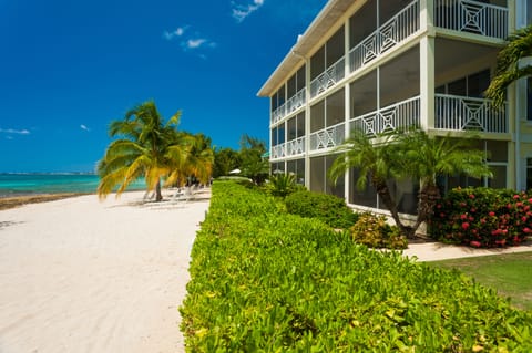 On the beach, sun loungers, beach towels