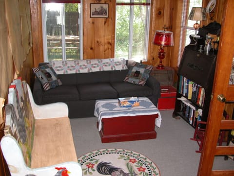 TV, fireplace, DVD player, books