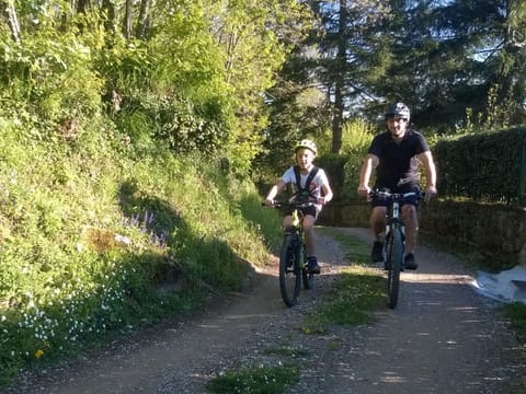 Biking in the woods