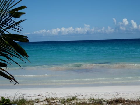 Beach umbrellas, beach towels