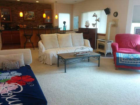 The lower level living room, bar, kitchen, piano, and gas heater.