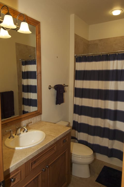 Combined shower/tub, jetted tub, hair dryer, towels