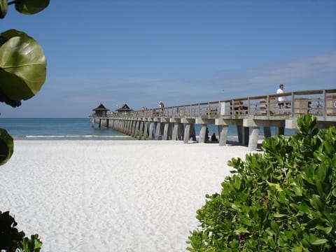 Sun loungers, beach towels