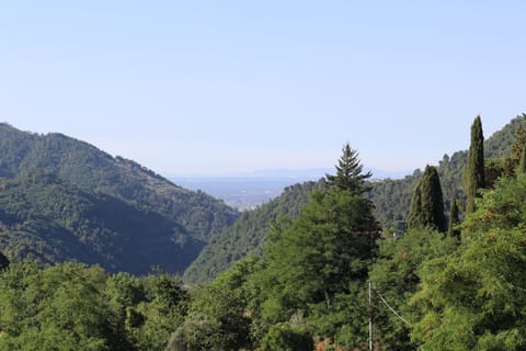Far-reaching views of the Tuscan landscape from the terrace and all rooms 