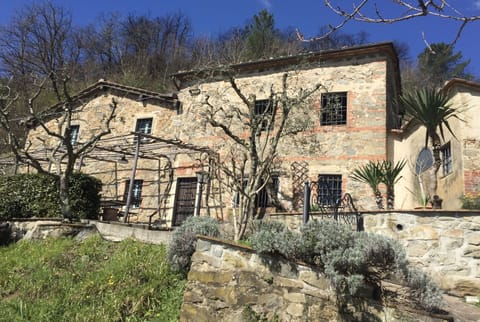 Authentic Tuscan hillside farmhouse, in the late winter sun
