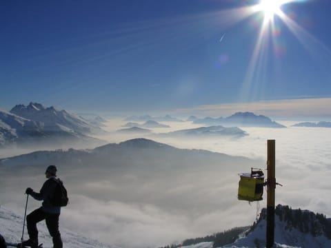 Snow and ski sports