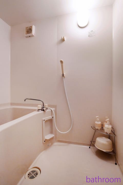 Combined shower/tub, hair dryer, bidet, towels