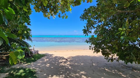 Beach nearby, sun loungers, beach towels