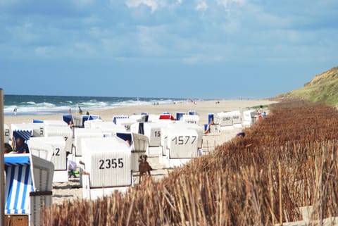 Beach nearby, sun loungers, beach towels