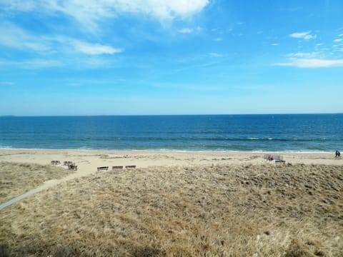 On the beach