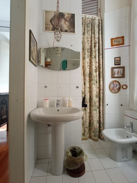 Combined shower/tub, hair dryer, bidet, towels