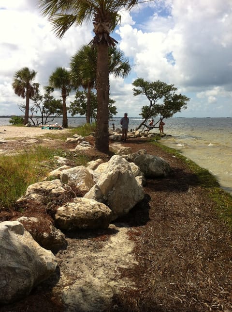 Beach nearby, sun loungers