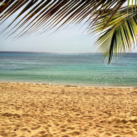 Beach nearby, sun loungers, beach towels