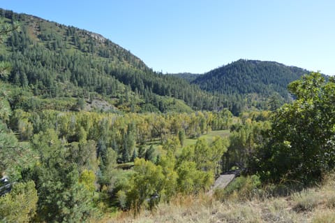 View off overlook at back of property