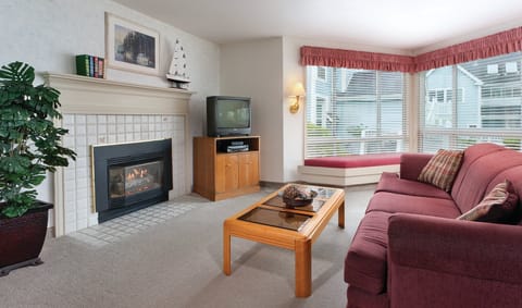 TV, fireplace, DVD player, stereo