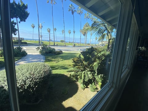 This is the view of the beach and ocean from the dining room and kitchen.