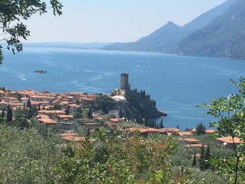 ef6f6eaa-4cd1-47c4-b602-770ddaa553b4