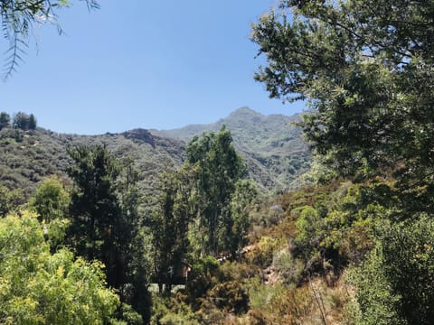 view of canyon from upstairs deck--great place for meditation, yoga, or chillin'