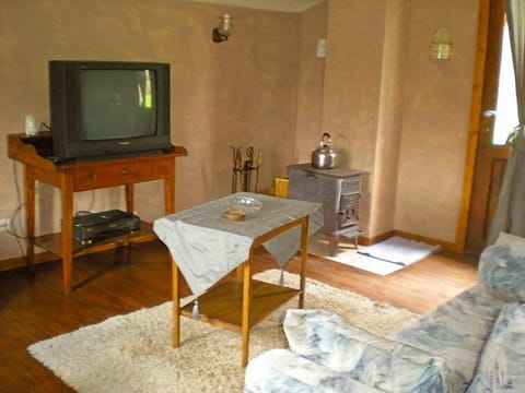 TV, fireplace, DVD player