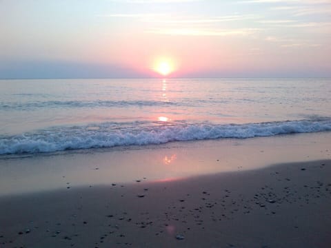 On the beach