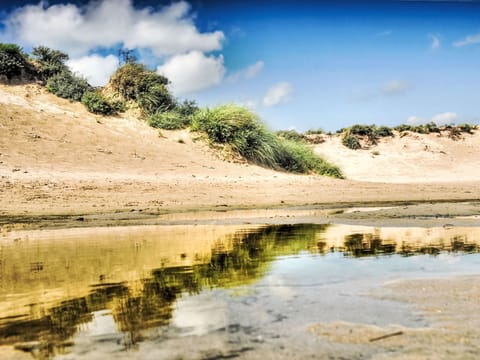 Beach nearby