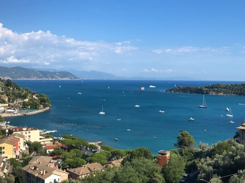 Incredible views 