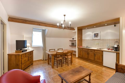 Salon, dining and kitchenette.