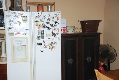 Full-size fridge-freezer.