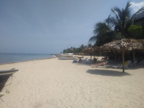 Beach nearby, sun loungers