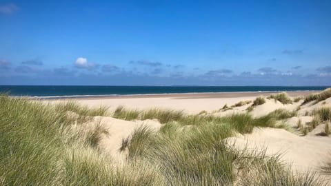 On the beach, sun loungers