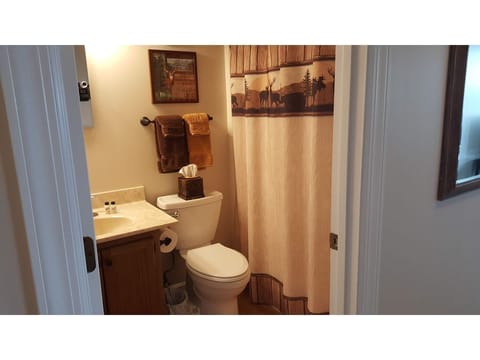 Combined shower/tub, hair dryer, towels, soap