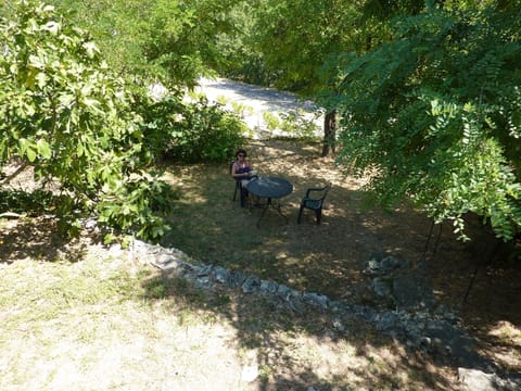Looking down into the garden