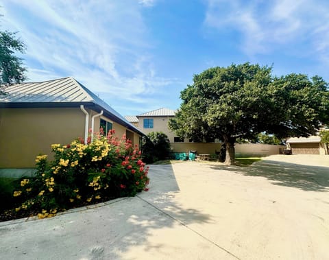 A look at our parking lot with the flowers in bloom