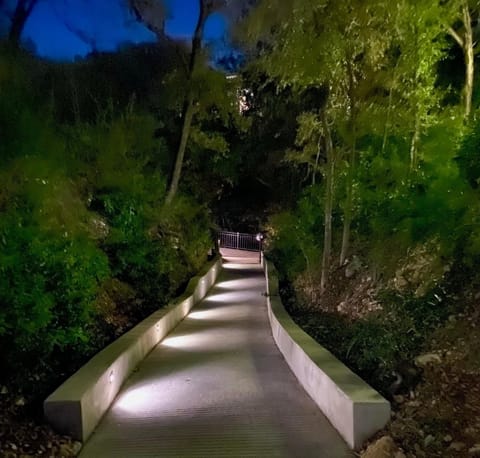 The upper path at night , leads to the river