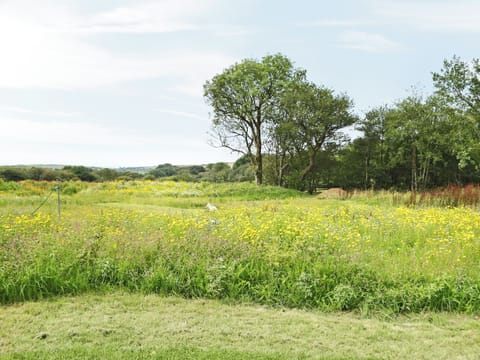 Wonderful surrounding area | Hayscastle Farmhouse - Hayscastle Cottages, Hayscastle