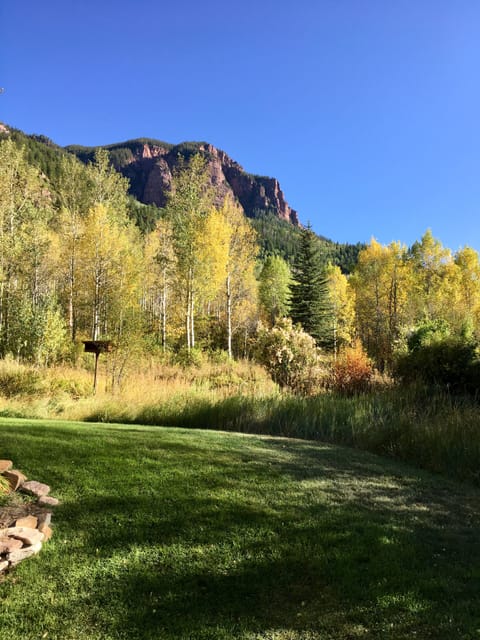 View from apartment.