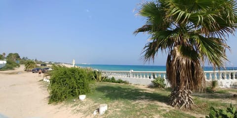 On the beach