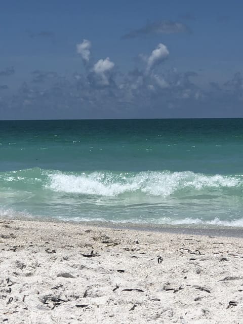 Beach | Beach nearby, sun loungers, beach towels