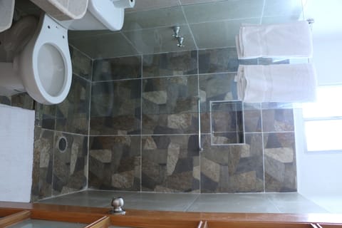 Combined shower/tub, towels, soap, toilet paper