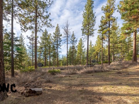 Forest and trails just feet from our door
