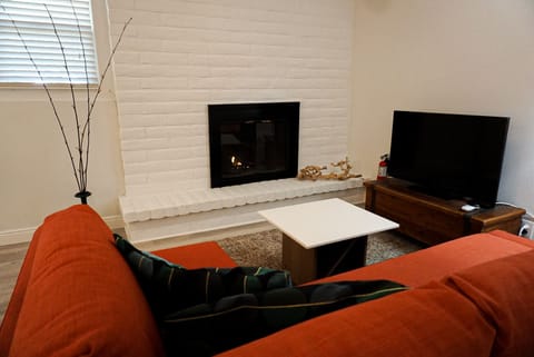 LED TV, fireplace