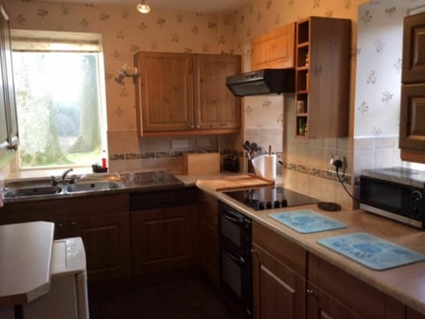 Cabinetry, Kitchen Sink, Countertop, Property, Sink, Window, Kitchen Appliance, Tap, Wood, Kitchen Stove