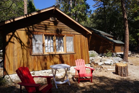 Lounge Outside and Enjoy the Pines - Lounge Outside and Enjoy the Pines