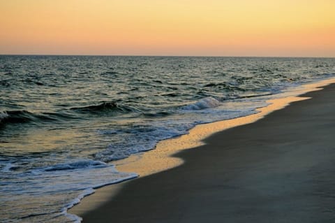 On the beach